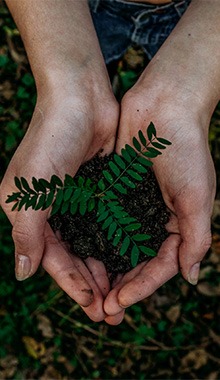 hands-holding-plant