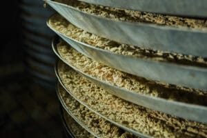 Producer of citric acid in Europe